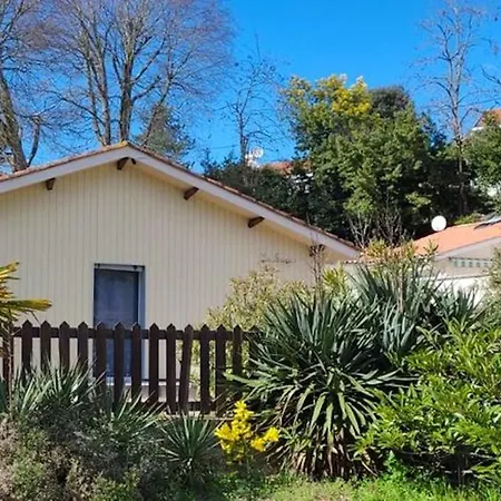 Charmante Maison Avec Jardin A Arcachon, Parfaite Pour 6 Personnes Holiday home *